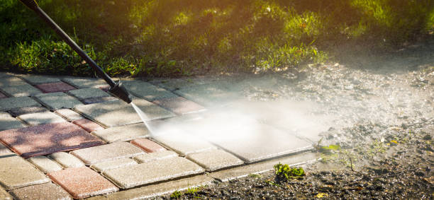 Best Soft Washing  in Mishicot, WI